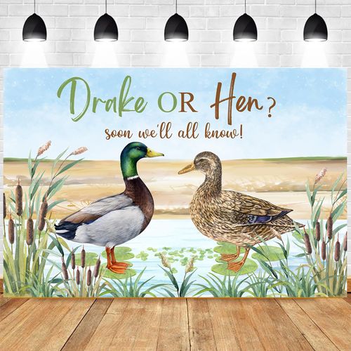 Balterever Duck Hunting Gender Reveal Decorations for Boys or Girls Duck Hunting Gender Reveal Backdrop Drake or Hen Soon We Will All Know Backdrop for Duck Hunting Baby Shower