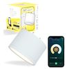Edison Smart Mini Ceiling Light for Hanging Ceiling (White) LED Integrated Dimming, Toned Color, Smart Light Bulb, Smart Light, Downlight, Compatible with Dedicated Remote Control