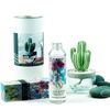 Pretty Valley Home Cactus Ceramic Diffuser Combo (Silk Blossom) Scent 200ml