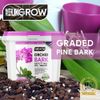 Premium 1L Orchid Bark & Perlite Mix – Optimised Root Environment in a Reusable Bucket