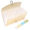 BTSKY Expanding File Folder - 13 Pockets, Small Accordion File Folder, Expandable Card Ticket Holder, Plastic Business Document Organizer, Khaki Translucent