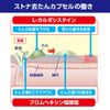 [Second-class OTC drug] Sutona Kyoutan Capsule 36 capsules * Products subject to the self-medication taxation system