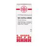 Apis mellifica LM XXIV DHU Dilution, 10 ml Lösung