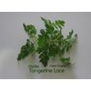 Petite Greens - Tangerine Lace - 4 x 4 oz