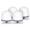 Replacement Ceramic Dome Water Filter 0.2 to 0.5 micron for Zen Systems 4 Pack
