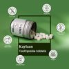Kaylaan Fluoride Toothpaste Tablets - Mint Flavored - 90 Counts