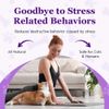 Purrfect Calm Cat Diffuser – Natural Odorless Calming Solution for Stress Relief