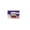 Lion PetKiss Dental Brush, Compact