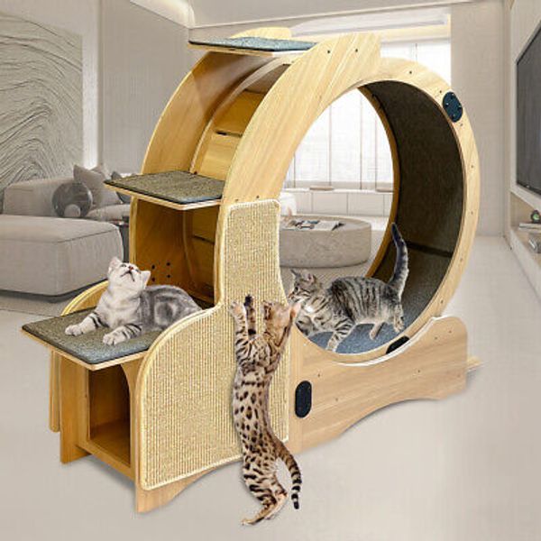 Cat Exercise Wheel Cat Scratching Post Interactive Pet Toy for