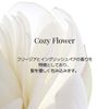 Soy Bome Protein Repair Treatment
