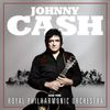 Johnny Cash and the..