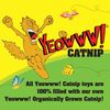 Yeowww! Ducky Banana Catnip Toy