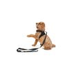 Doodlebone Padded Lead, Ruby, 15mm