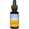 Herb Pharm - Cilantro Extract - 1 oz.