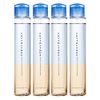 Tama Squirrel fitori-ku 97ml X 4 Pieces Set Permanent Option Treatment Tamaris