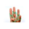 Physiorite 4 Pack Hand Trainer Therapy Stroke Special Needs Strength OT PT Arm