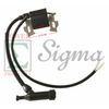 Ignition Coil For CHAMPION MPN 22.123000.01 196cc - 220cc