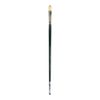 Windsor & Newton Winton Hog Brush Long Handled Filbert No 6 (Each)