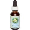 Flower Essence Services Holly Dropper Herbal Supplements, 1 Ounce