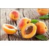 Bitter Apricot Kernels, 1 Pound, Natural B17 Source California Grown