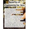 Organic Eczema Lotion Handmade