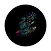 Kayaking PopSockets mit austauschbarem PopGrip