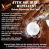 NEW! Attic Squirrel Repellent.  DRIVES SQUIRRELS OUT FAST! 5 PK