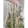 PEPPERLONELY 2000 Strands Icicles Tinsel Tree Christmas Decorations (4# Iridescent Premium)