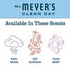 MRS. MEYER'S CLEAN DAY Liquid Hand Soap Variety Pack, 1 Rain Water Scent, 1 Oat Blossom Scent, 1 Plum Berry Scent (3 CT) (Hand Soap)