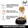 Dogit Go-Slow! Anti-Gulping Dish 300ml