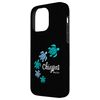 Mexico Chiapas Case for iPhone 14 Pro Max