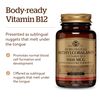 Solgar - Methylcobalamin's Vitamin B12 5000 mcg. 60 nugget(s)