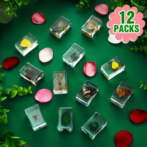12 Pcs Insect in Resin Specimen Bugs Collection Arachnid Resin Paperweights Different Insect Specimen Bug for Kids Scientific Educational Toy, 12 Styles(Butterfly)