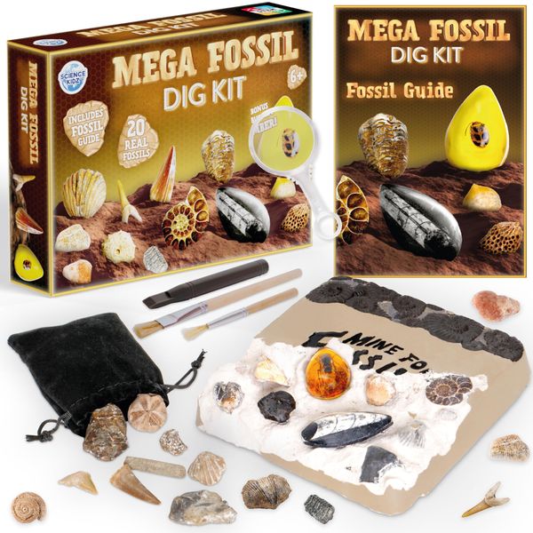 Science Kidz Mega Fossil Dig Kit - Excavate 20 Genuine Prehistoric Fossils, Fossil Hunting Kit For Kids, Educational Science Kits, Kids Fossil Dig Kit Toy, Fossil Digging & Excavation Kits For Kids