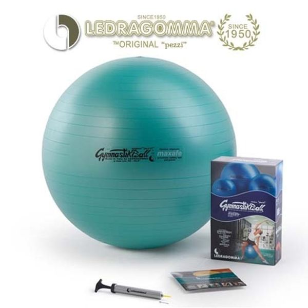 Synnara-com_Red Lagomma Gymnestic Premium Maxcafe 65 Stretching Ball Pilates Ball Yoga Ball Exercise Ball Gym Ball Health Ball Health Stretching Ball_ tlsskfk, S-N-No option