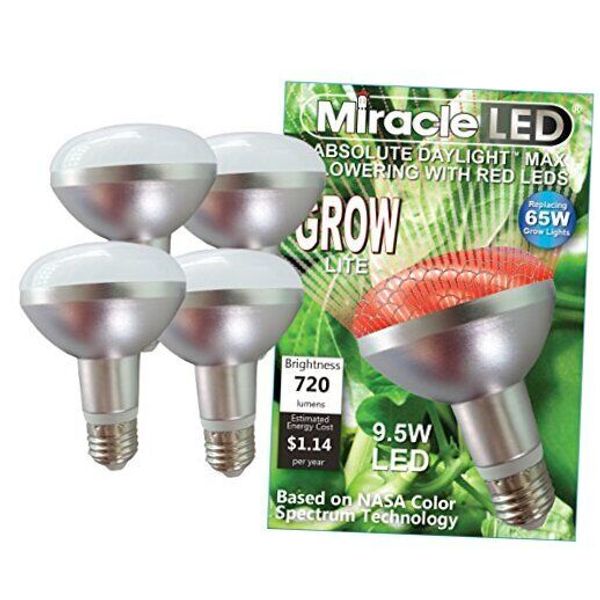 604888 Absolute Daylight MAX Flowering, 9.5W Red + 5000K Plant Bulb 4-Pack