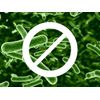 Black walnut hull powder - ANTI-PARASITE FORMULA 2B - Antioxidants