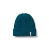 Passenger Compass Recycled Beanie (Shaded Spruce)