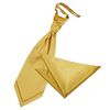 DQT Men Plain Glossy Satin Wedding Cravat & Pocket Square Set - Gold