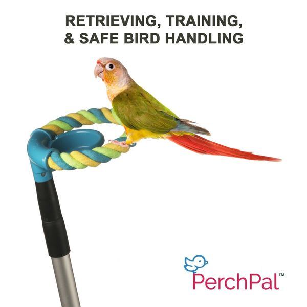 PerchPal Bird Perch for Retrieving, Training, & Safe Handling of Pet Birds