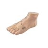 Human Foot Model with Acupuncture Points