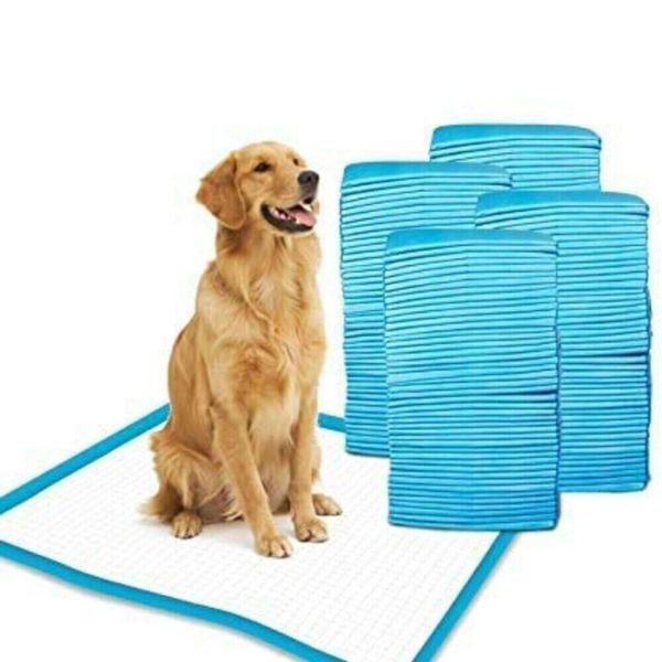 Scented Blue Pee Pads XL 24x36 Underpads for Dogs Ultra-Absorbent 5-Layer 25 PCS