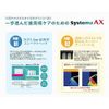 Lion Systema AX Toothbrush, 4 Pieces, 15.2 ft (44 m), Compact, Normal