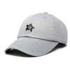 DALIX Turtle Hat Nature Womens Baseball Cap in Gray
