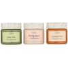 FarmHouse Fresh Quick Recovery Face Mask Sampler, 3 ct.