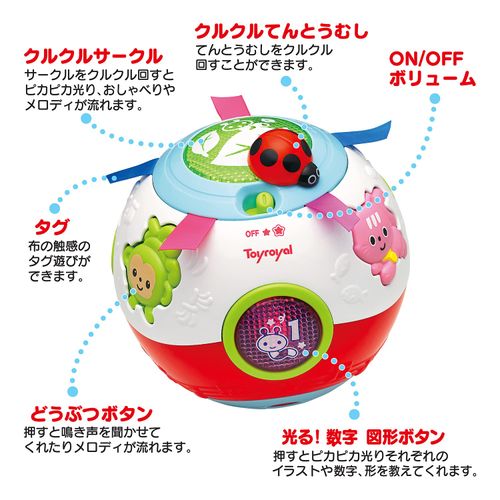 Toy Royal, Squirrel Ball (Educational Toy/Fingertip Play), Glowing Toy (Sound Producing / Talking Toy), Sound Toy Baby