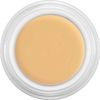 Kryolan Dermacolor Camouflage Make-Up 4 g Tub Colour D2
