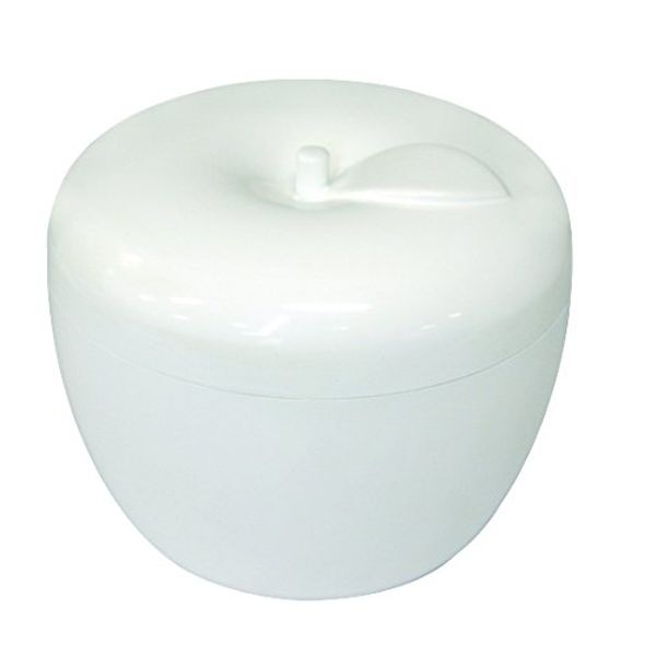 Kowa Seisakusho Teikob Denture Case, White, DC01