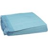 Dynarex Disposable Underpad, 23 inches X 24 inches, 31-Gram, 100 Count (Pack of 2)