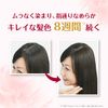 L'Oréal Paris Excellence R Liquid Type Dye for Gray Hair, 6NB Slightly Bright Natural Chestnut Color Main Unit [Quasi-Drug]